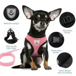 cat harness vest leash set