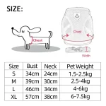 cat harness vest leash set