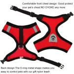 cat harness vest leash set