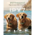 waterproof electric dog training collar 2 dogs