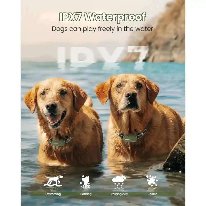 waterproof electric dog training collar 2 dogs