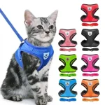 cat harness vest leash set