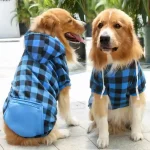 blue-plaid