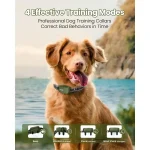 waterproof electric dog training collar 2 dogs
