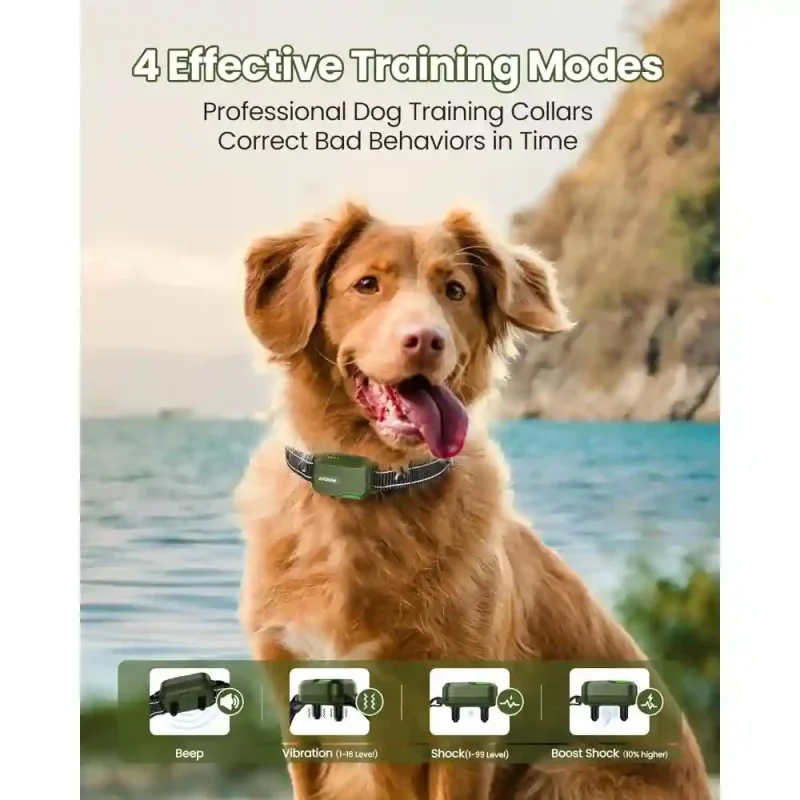 waterproof electric dog training collar 2 dogs