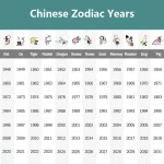 buddha stones chinese zodiac jade year of the horse luck rope necklace pendant