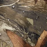 men's hunting clothes,silent water resistant camo hunting suits